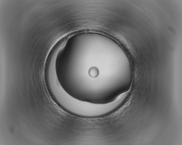 X0000111000924200907101449