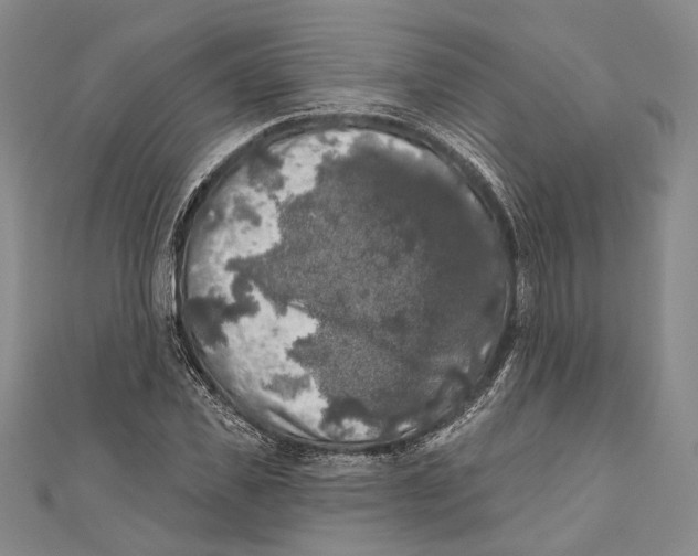 X0000111000925200907101449