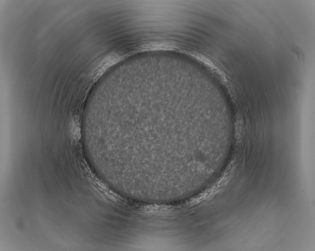 X0000111000929200907101449