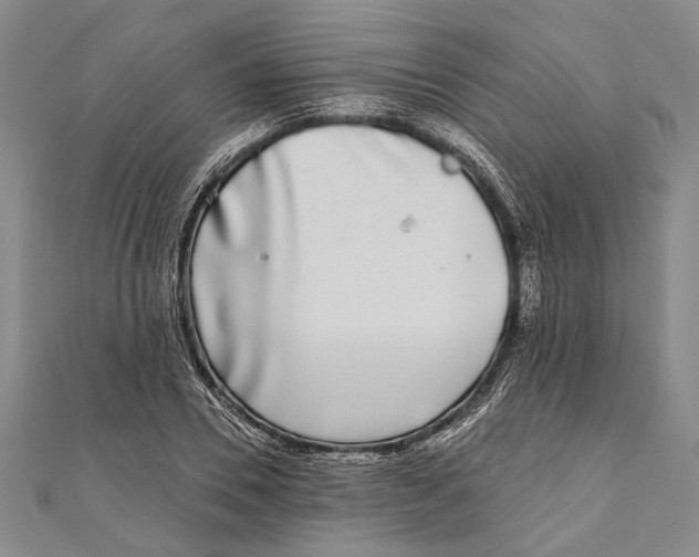 X0000111000930200907101449