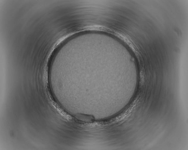 X0000111000931200907101449