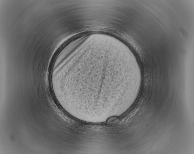 X0000111000932200907101449