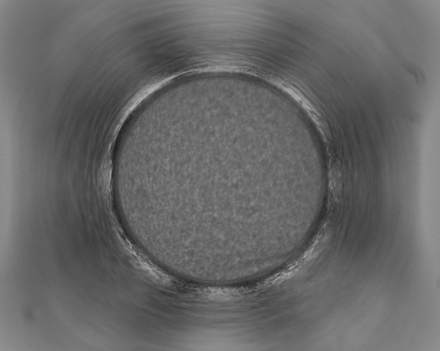 X0000111000933200907101449