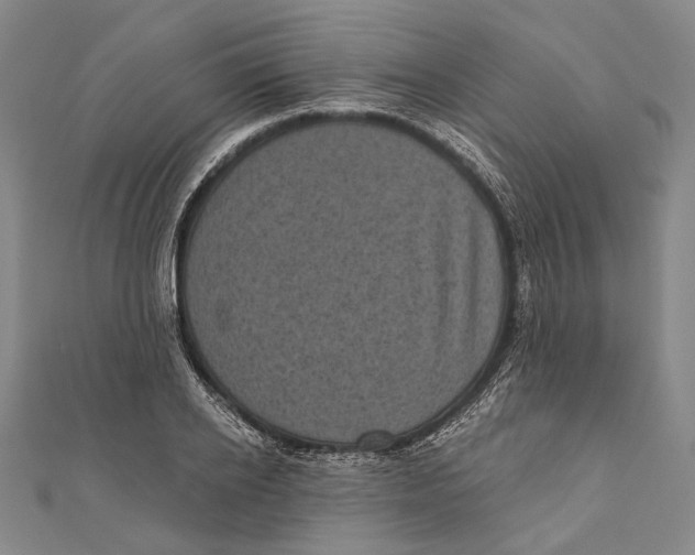 X0000111000934200907101449