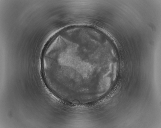 X0000111000935200907101449