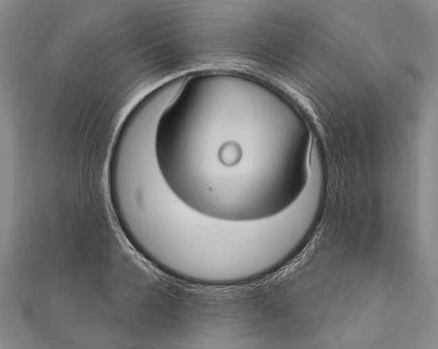 X0000111000936200907101449