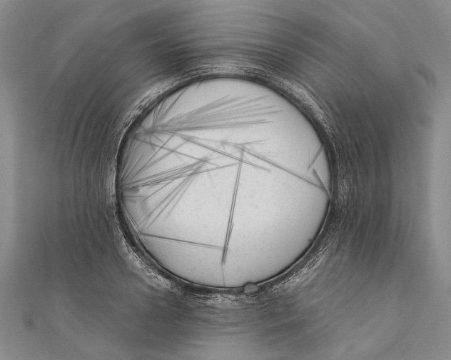 X0000111000938200907101449