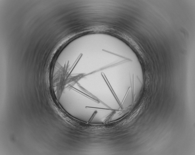 X0000111000939200907101449