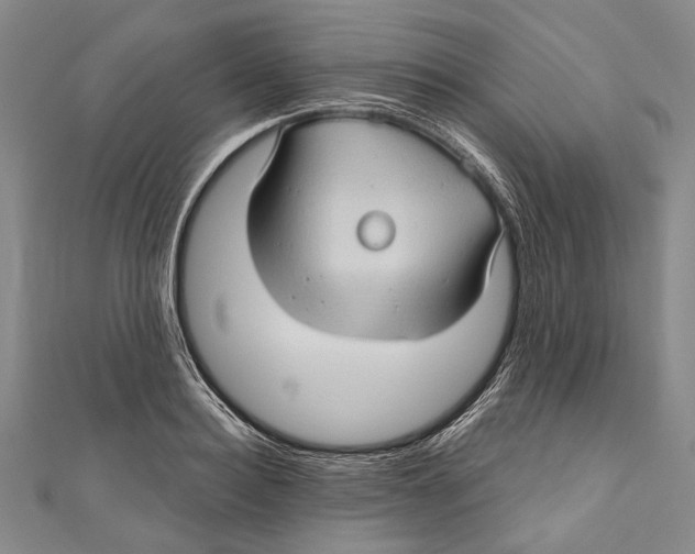 X0000111000940200907101449