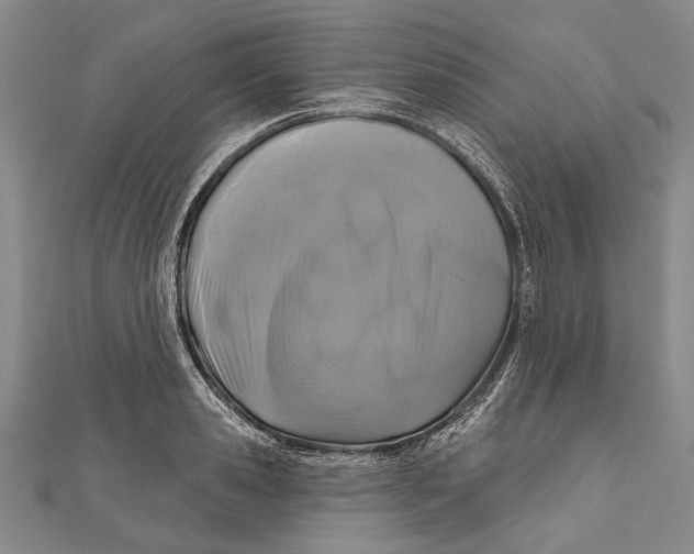 X0000111000941200907101449