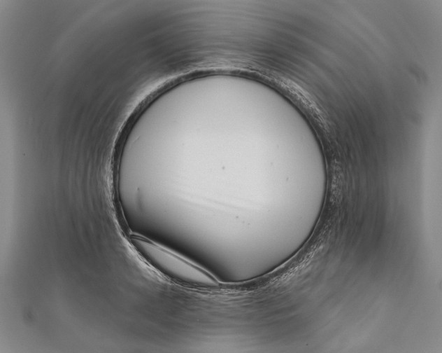 X0000111000942200907101449