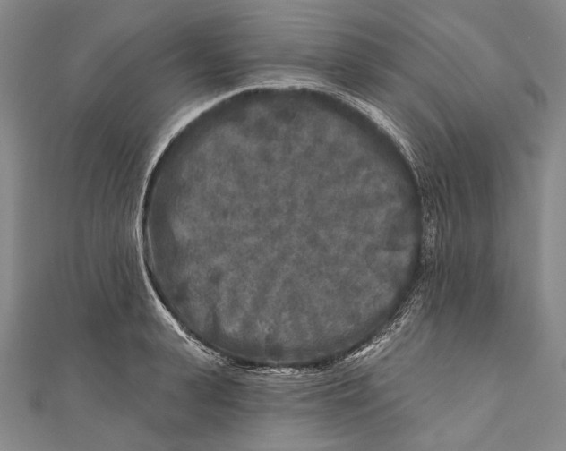 X0000111000943200907101449