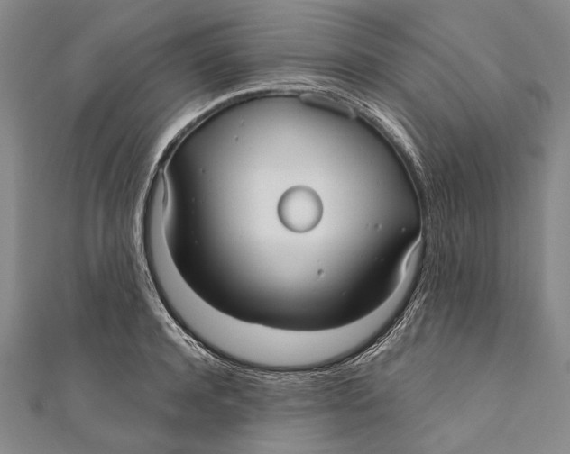 X0000111000944200907101449