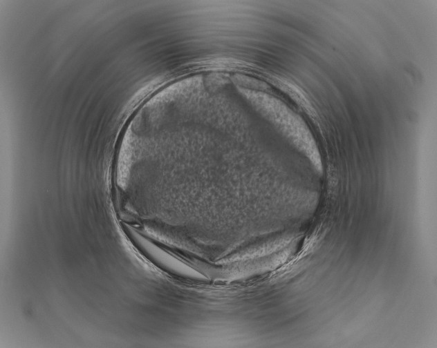 X0000111000946200907101449