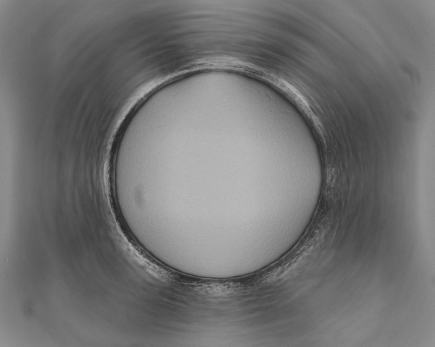 X0000111000947200907101449