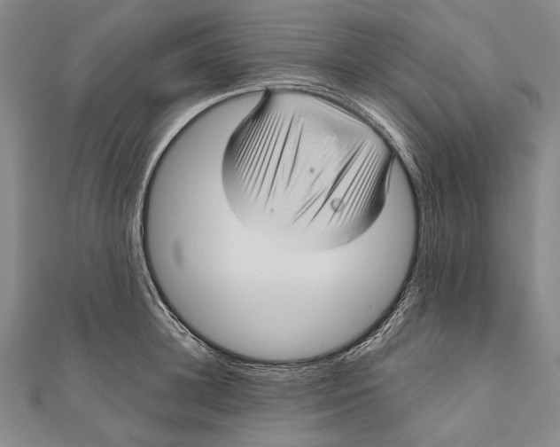 X0000111000948200907101449