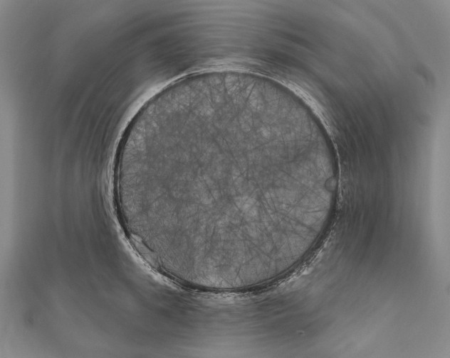 X0000111000949200907101449