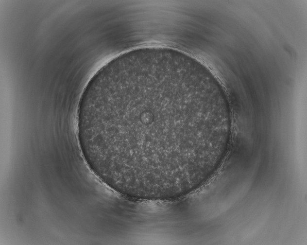 X0000111000950200907101449