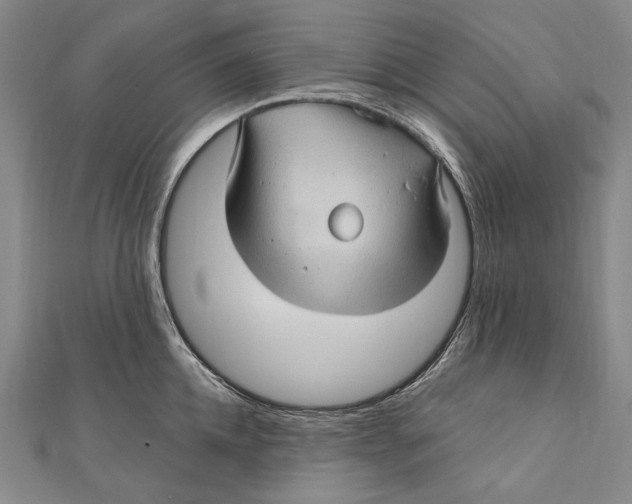 X0000111000952200907101449