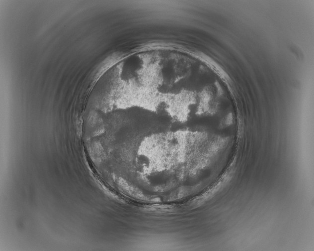 X0000111000953200907101449