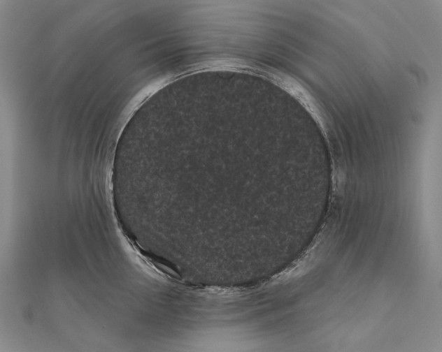 X0000111000954200907101449