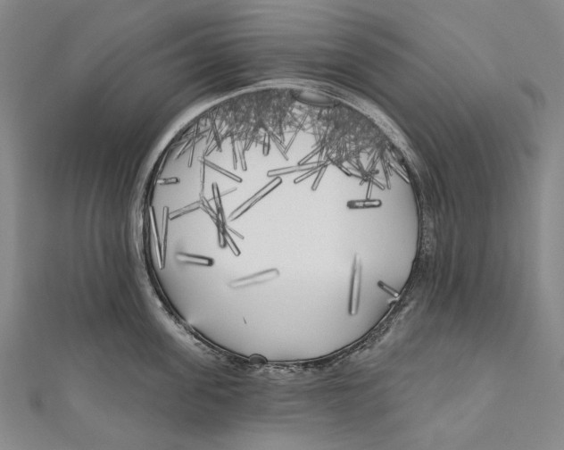 X0000111000955200907101449