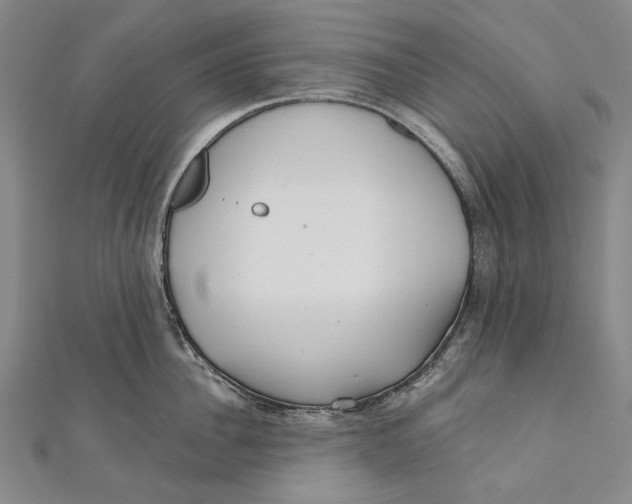 X0000111000956200907101449