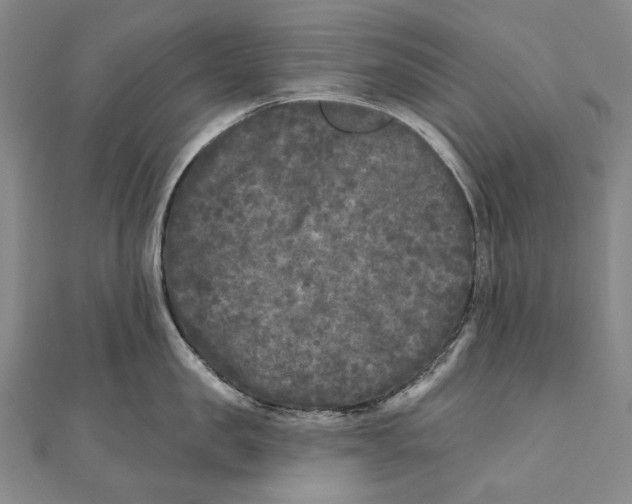 X0000111000957200907101449