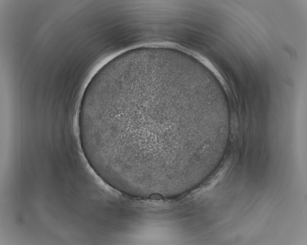 X0000111000959200907101449