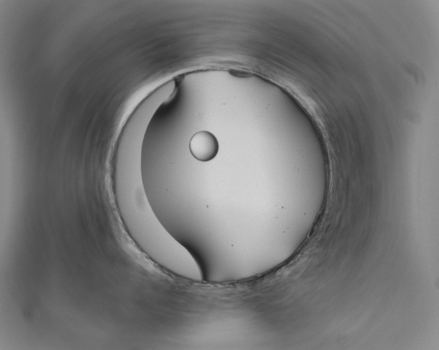 X0000111000960200907101449