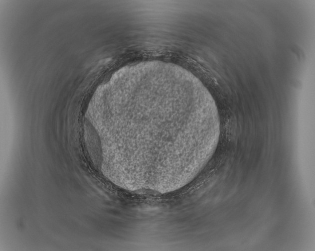 X0000111000961200907101449