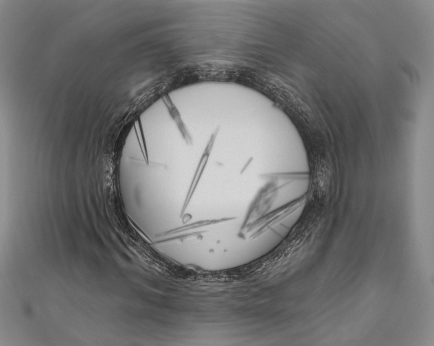 X0000111000964200907101448