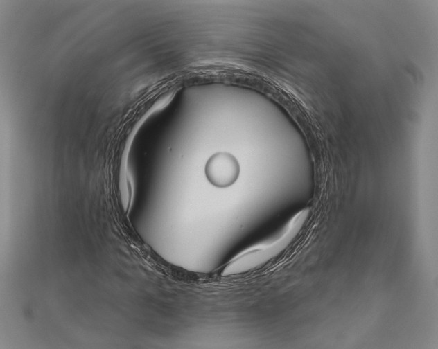 X0000111000965200907101448