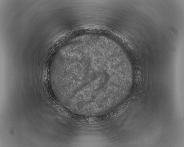 X0000111000966200907101448