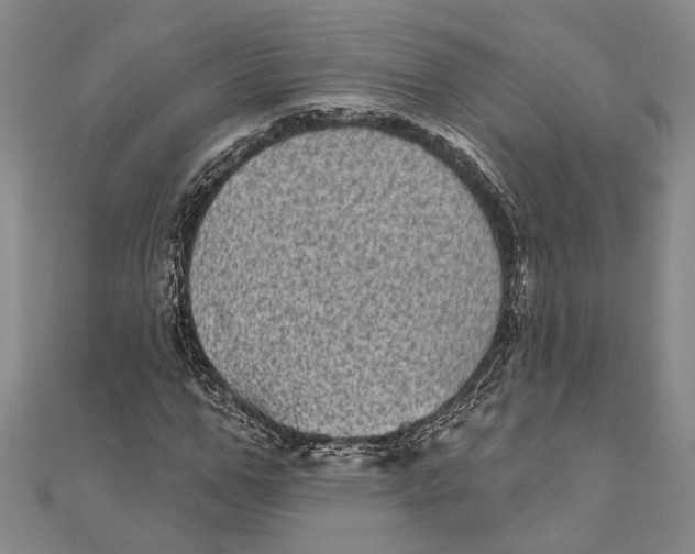 X0000111000967200907101448