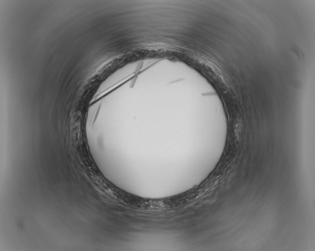 X0000111000968200907101448