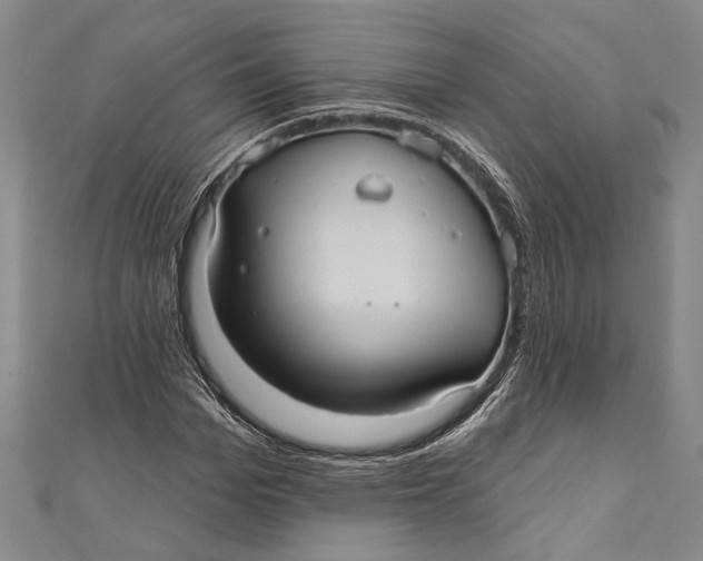 X0000111000969200907101448