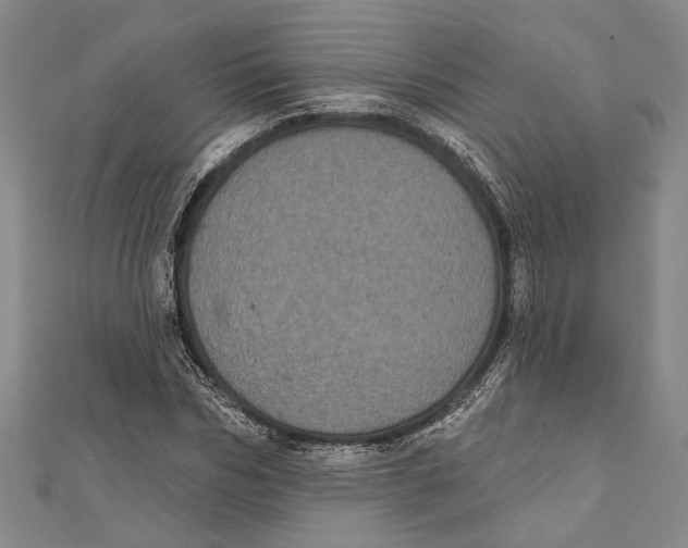 X0000111000970200907101448