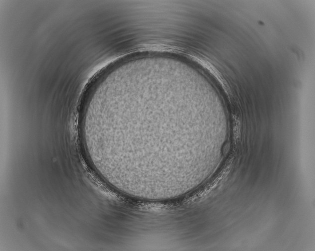 X0000111000971200907101448