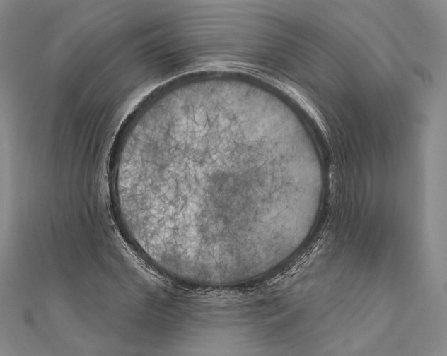 X0000111000972200907101448