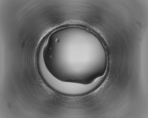 X0000111000973200907101448