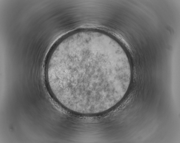 X0000111000976200907101448