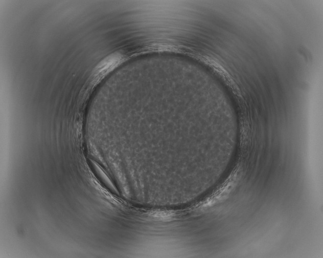 X0000111000977200907101448