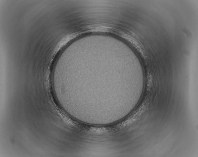 X0000111000978200907101448