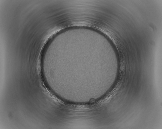 X0000111000979200907101448