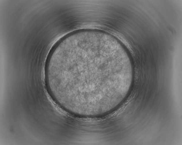 X0000111000980200907101448