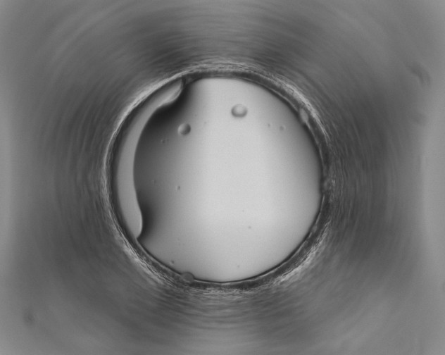 X0000111000981200907101448