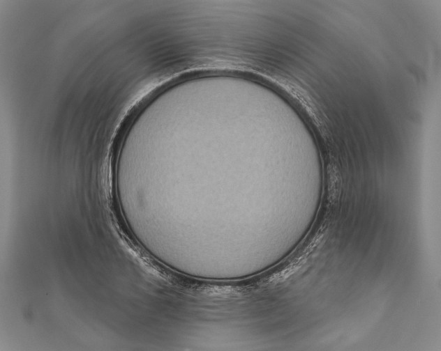 X0000111000982200907101448