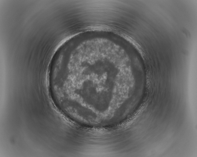 X0000111000983200907101448