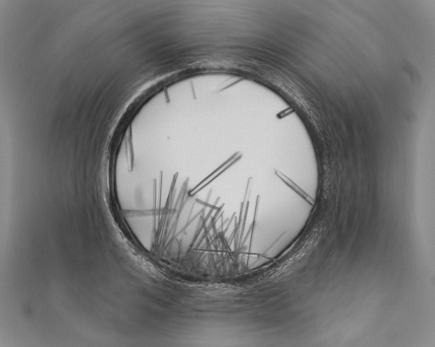 X0000111000984200907101448